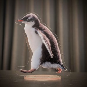 アクリルスタンド・ジェンツーペンギン ヒナ